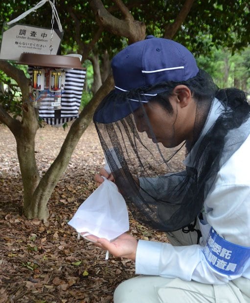 東京・代々木公園では今年も、４月から定期的に蚊を採取し、ウイルスを持っていないか検査している。感染防止に向けて気は抜けない　（ｃ）朝日新聞社