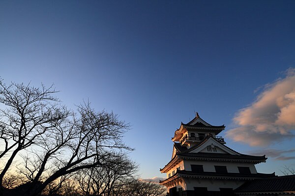 千葉県館山市の館山城（館山市立博物館分館）には南総里見八犬伝に関連した資料が展示されています