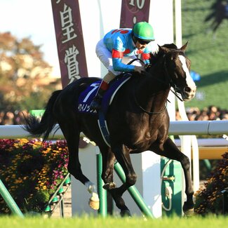 〈きょうジャパンカップ〉イクイノックスだけじゃない!衝撃レコード記録した名馬たち 3歳時に“怪物馬”に迫ったのは