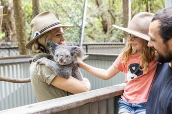 大自然と先住民の文化を体験できる! オーストラリアが「家族旅行」に人気の理由