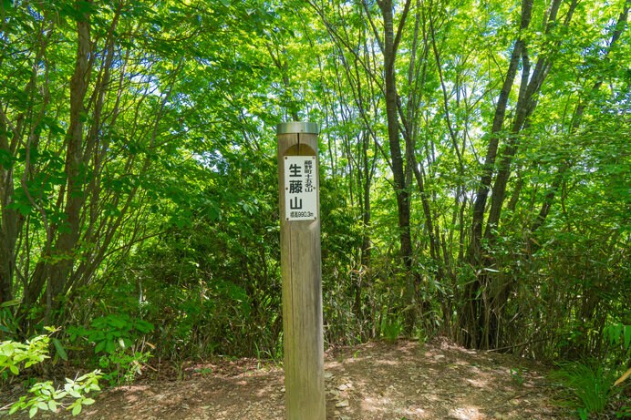 体力に余裕があるなら陣馬山まで歩くのがおすすめ