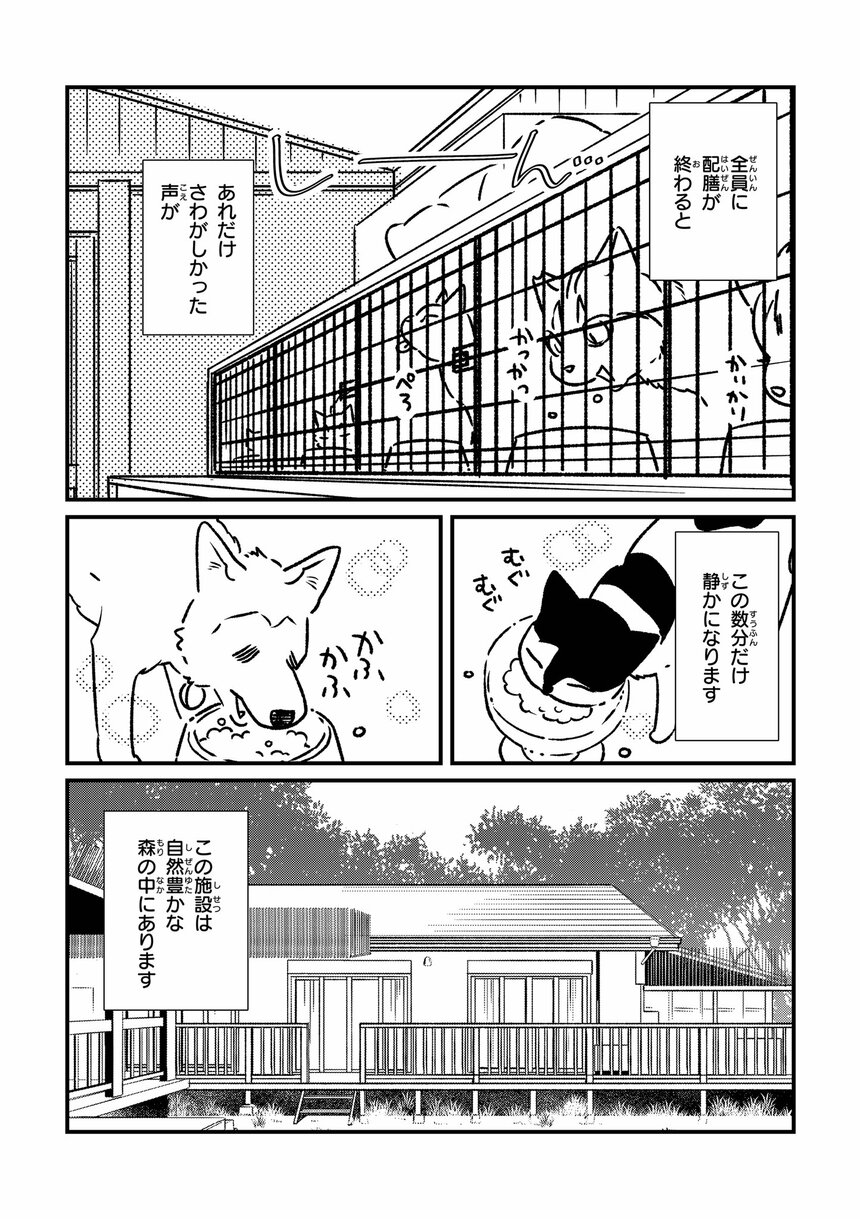  『お世話させていただきます！ 犬猫保護施設の奮闘記』（漫画／オノユウリ　原作／塩田妙玄　アサコミ）より