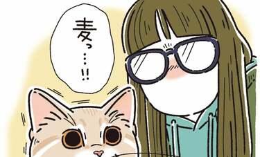 インスタグラムのフォロワー9.8万人の“猫”漫画家・猫久さんが語る愛猫「麦」との幸せすぎる1年半