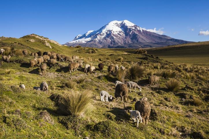 チンボラソ山（写真：ｇｅｔｔｙｉｍａｇｅｓ）