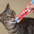 社長のひらめきが結実した「CIAOちゅ~る」 腎臓病配慮の新シリーズも話題