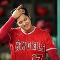 大谷翔平は「ベーブ・ルース越え」とパックンが絶賛 来年はそれ以上に期待