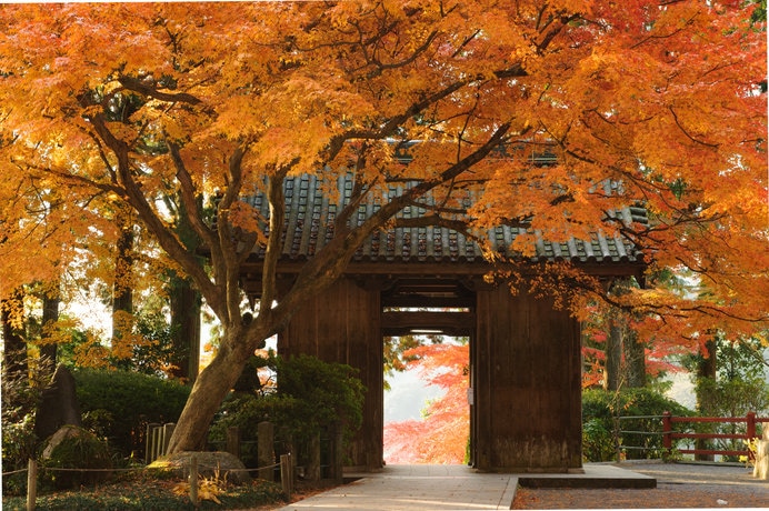 大興善寺の山門「仁王門」は、前後に豊かな紅葉が広がり、フォトスポットとしても人気