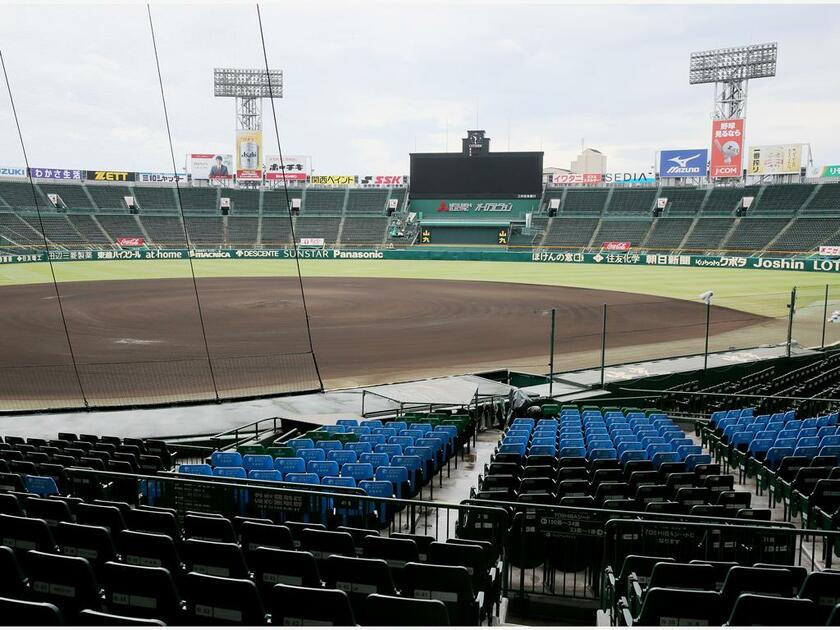 近本がプレーする阪神の本拠地・甲子園球場　（ｃ）朝日新聞社