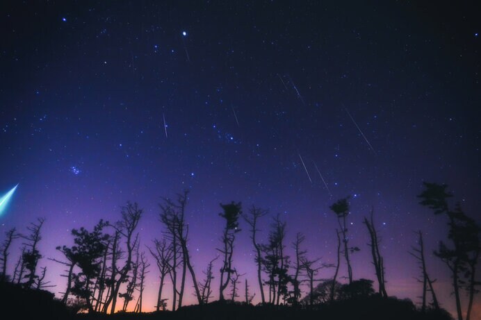 流星群を降らせた冬の十二星座の主役ふたご座は変わらず中天に輝きます