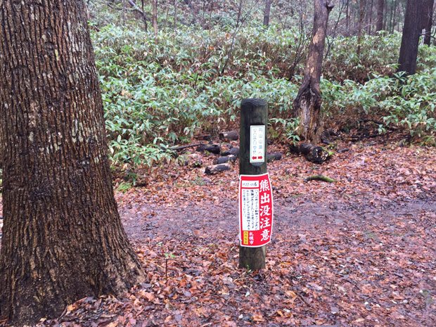 円山公園の道案内（撮影／小熊一実）