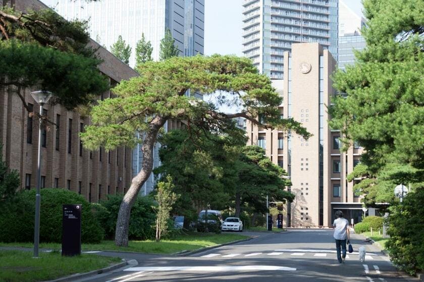 AO入試での入学者数が国立大で最も多い東北大（撮影／加藤夏子）