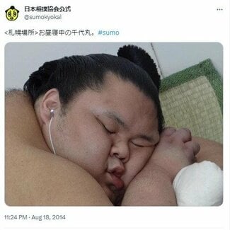 力士の「お姫様だっこ」企画や、寝顔“萌え”の「千代丸たん」 日本相撲協会のSNSが人気の理由