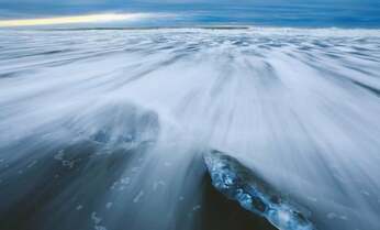 モモンガ撮影のために巣穴の木を叩き… 北海道発「待てない」写真家の哀れな行動とは