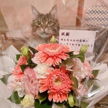 ガルの保護主さんから双樹に届いたお花。メッセージには「ありがとう」の文字が（提供）