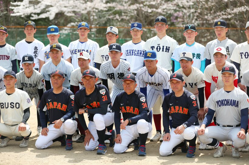 甲子園の後はU18野球W杯に注目！（写真提供・日刊スポーツ）
