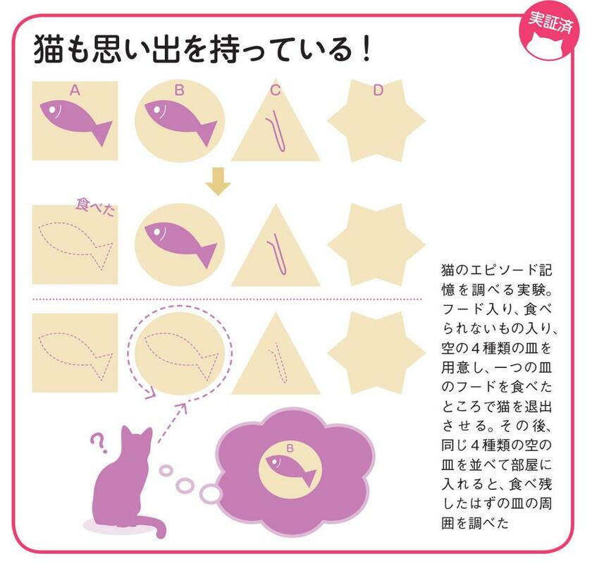 AERA臨時増刊「NyAERA2020」より