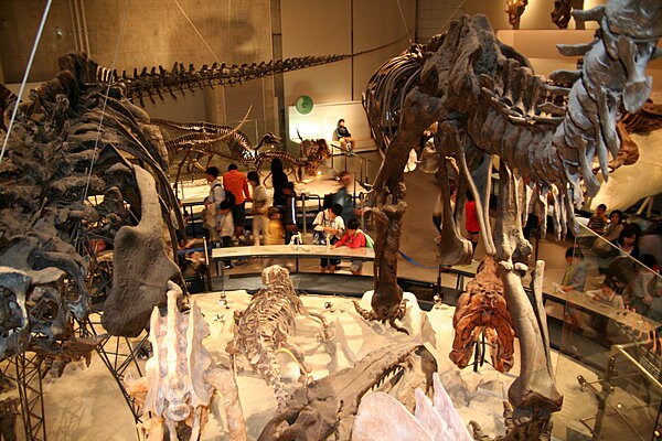「国立科学博物館」の恐竜の化石は迫力満点！