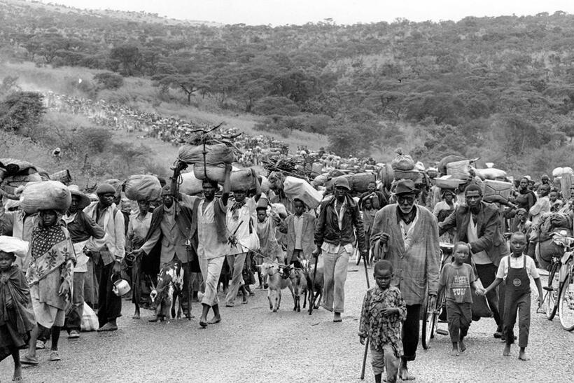 １日で２５万人の難民がルワンダからタンザニアに逃れた。１９９４年４月（UNHCR／P.Moumtzis）