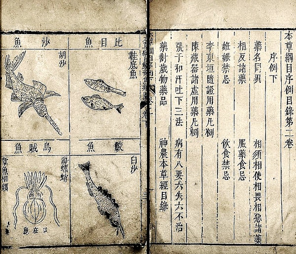 李時珍著『本草綱目』より