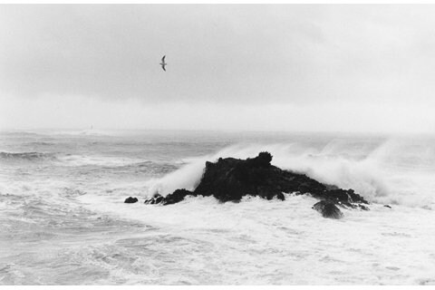 写真・図版（1枚目）| 2014-03-10 00:00:00