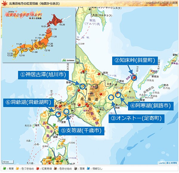 北海道の紅葉情報（10月14日現在）