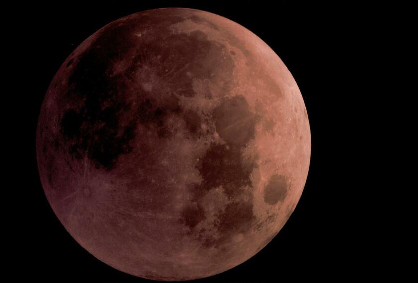 11月8日の皆既月食。天体観測が趣味でもある筆者・早川智医師が撮影した