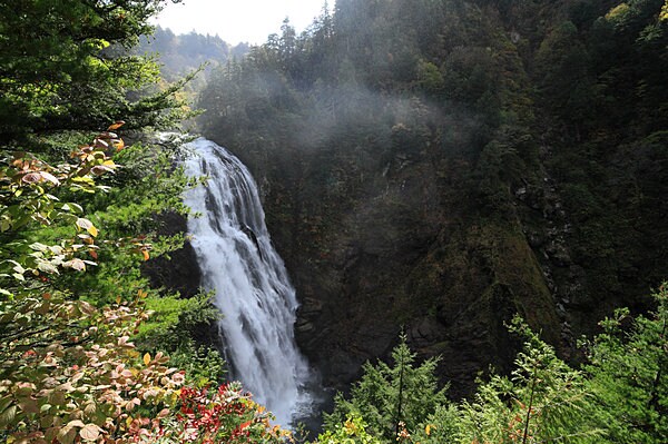 エネルギーの迸り（ほとばし）を体感！　日本一の水量とも名高い豪瀑「三条の滝」