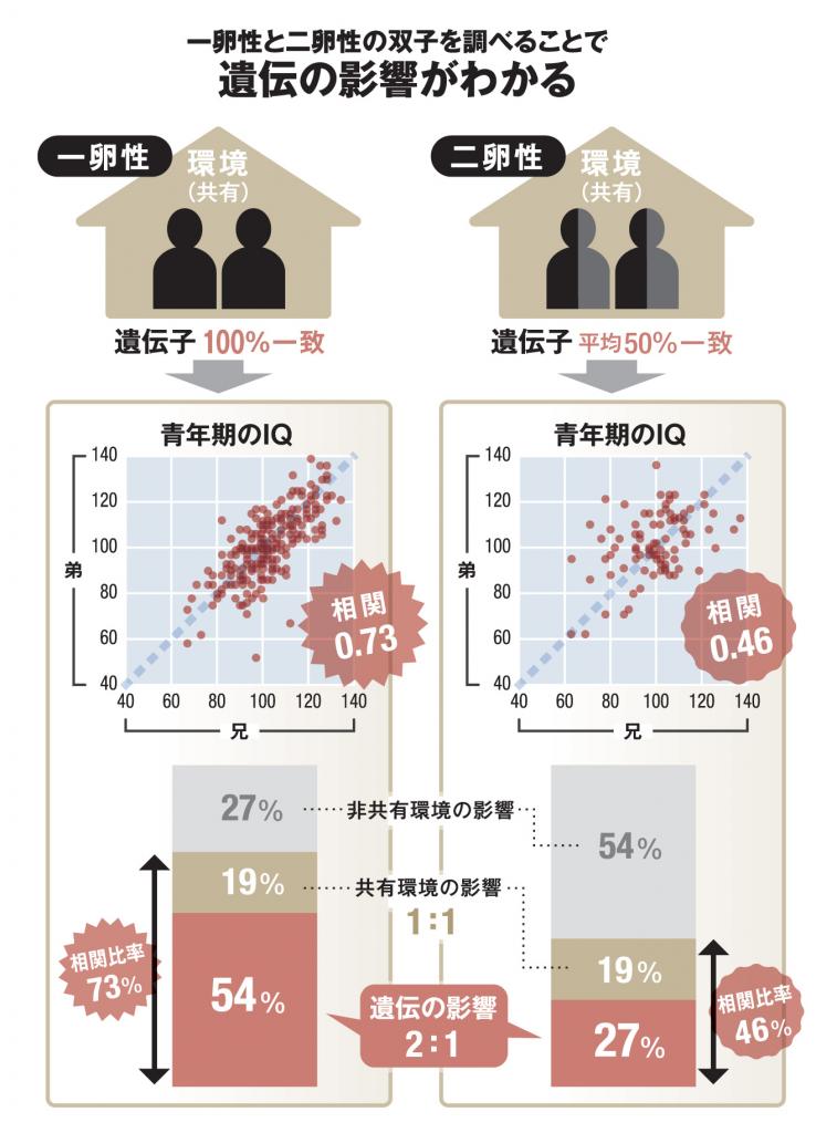 一卵性と二卵性の双子を調べることで遺伝の影響がわかる（ＡＥＲＡ　２０１９年７月２９日号より）