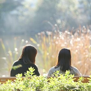 セクハラ被害によって絶たれたキャリア、心身の影響　被害者が救済される制度や法整備が急務