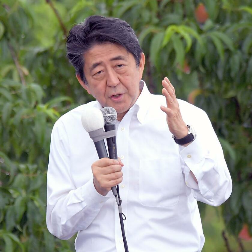 福島市の果樹園で参議院選挙の第一声を上げる自民党の安倍晋三総裁（C）朝日新聞社