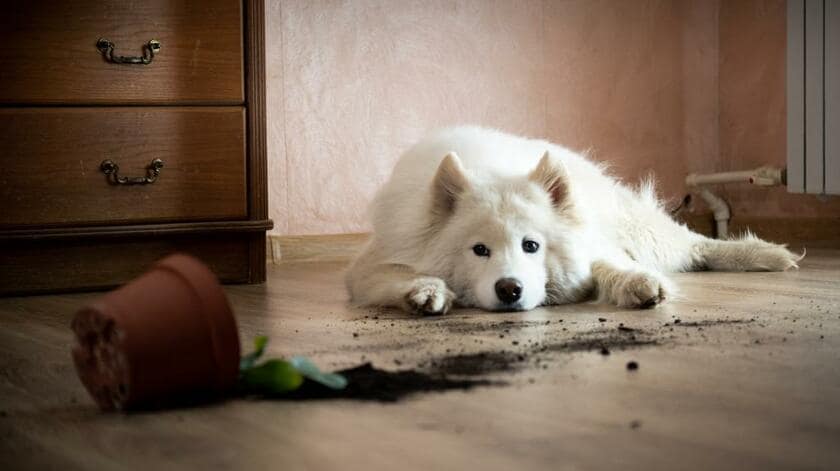 ※写真はイメージです（GettyImages）