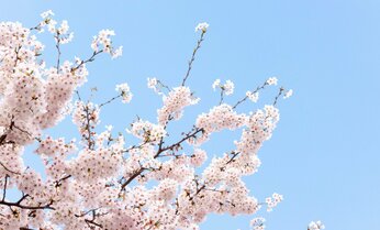 「お前なら大丈夫だ!」中学受験で5連敗中だった母娘が自信を取り戻した言葉とは【中学受験体験記】