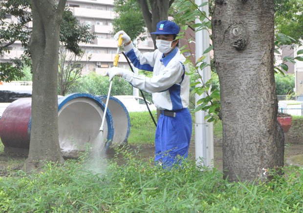 蚊の駆除の様子　（c）朝日新聞社　＠＠写禁