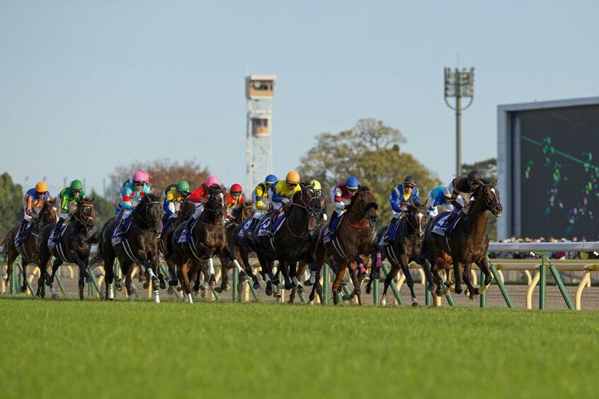 かつては外国の強豪馬も参戦していたジャパンカップ※画像はイメージ(写真/gettyimages)