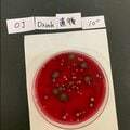 〈夏休みスペシャル〉夏場、口をつけたペットボトルは危険は誤解? 麦茶では細菌数が増加も、スポーツ飲料は減少する理由