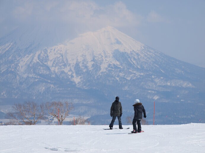 （写真はイメージです）