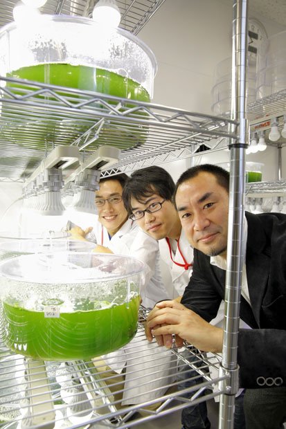 藻からつくるジェット燃料で飛行機飛ばしたいネオ・モルガン研究所社長　藤田朋宏さん（４１、右）川崎市のかながわサイエンスパークの本社で、若手研究者らと。現在、横浜にあるＩＨＩの工場の養殖池で藻の培養を行っている。気温の高い東南アジアでの大規模プラントも構想している（撮影／今村拓馬）
<br />
