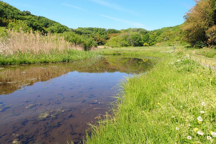 日本列島の各地に広がる谷津。その地形が自然と人が共生しうる原型だと神話が語ります