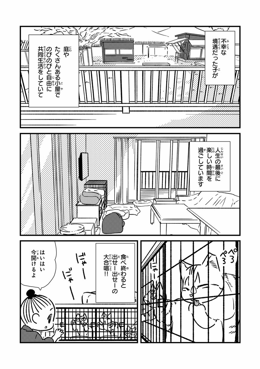  『お世話させていただきます！ 犬猫保護施設の奮闘記』（漫画／オノユウリ　原作／塩田妙玄　アサコミ）より
