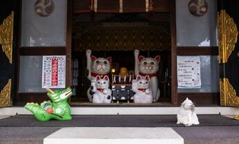 リアル招き猫からみニャさまへ「運気爆上げをお約束します」【沖昌之】