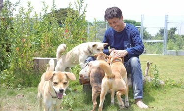 坂上忍が信頼できると感じた記者の「怒り」 犬や猫が“奴隷”になるペットビジネスの凄惨な闇を暴く