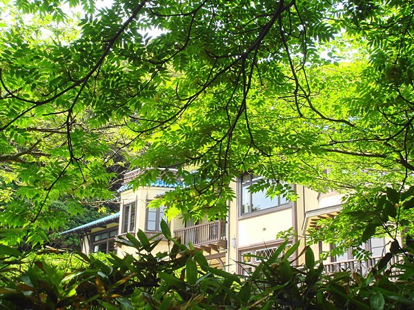 新緑に包まれる鎌倉文学館