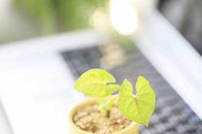 関係者が今、ひそかに注目するサイトが(※イメージ)