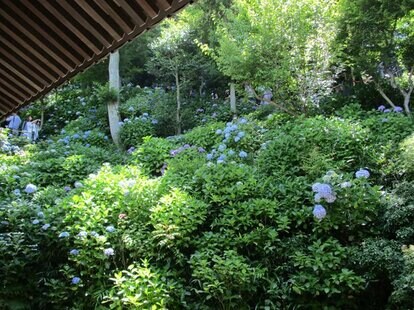 長谷寺