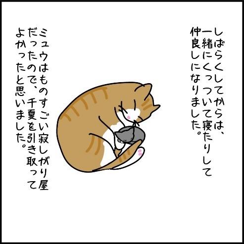 きょうだいのように仲良しになりました(提供)