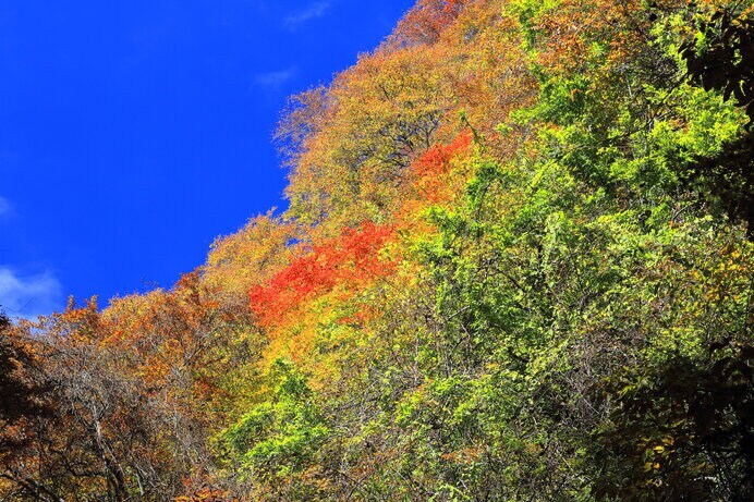 登山コースが多く様々な風景を楽しめます