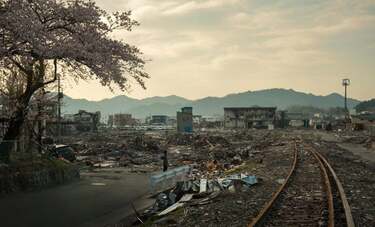 10年間、被災地の桜を撮り歩いた写真家・大沼英樹の葛藤