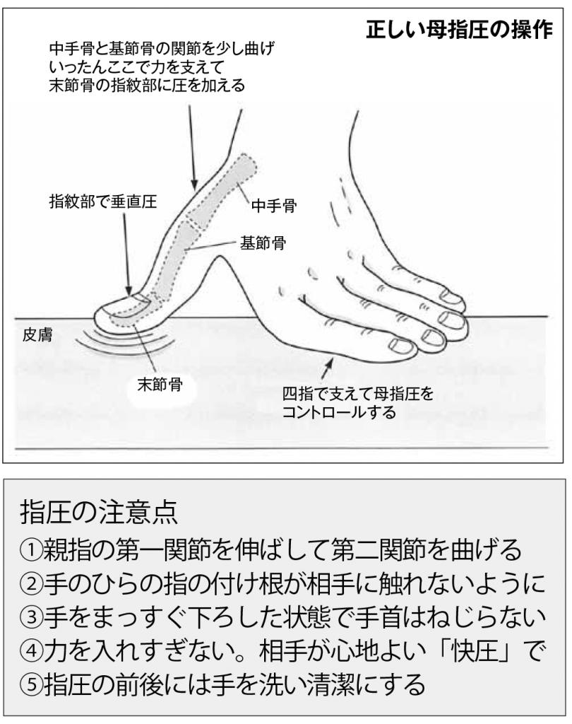 正しい母指圧の操作と指圧の注意点　　（週刊朝日２０１８年１１月１６日号から）