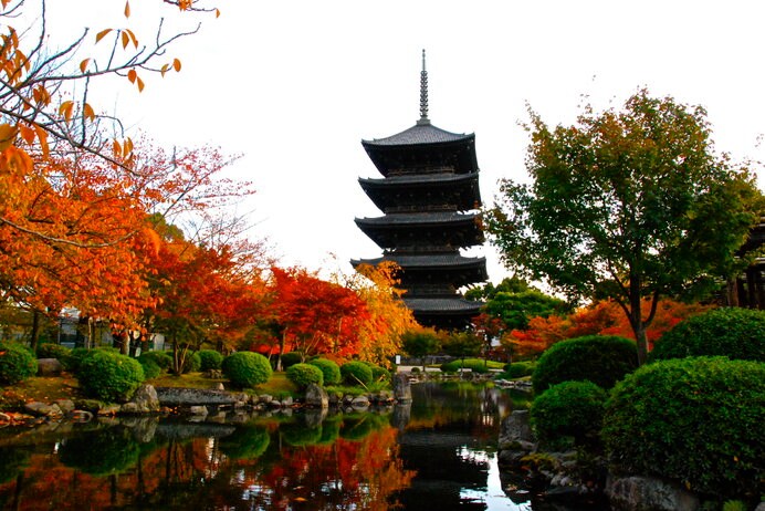 紅色のモミジが美しい京都の紅葉