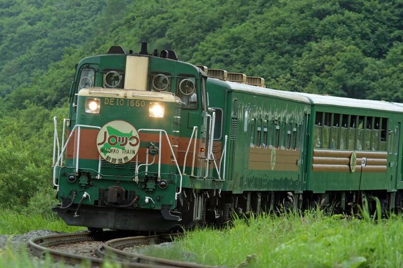 釧路駅発の「くしろ湿原ノロッコ号」はディーゼル機関車に牽引されてやってくる（撮影／佐々倉 実）